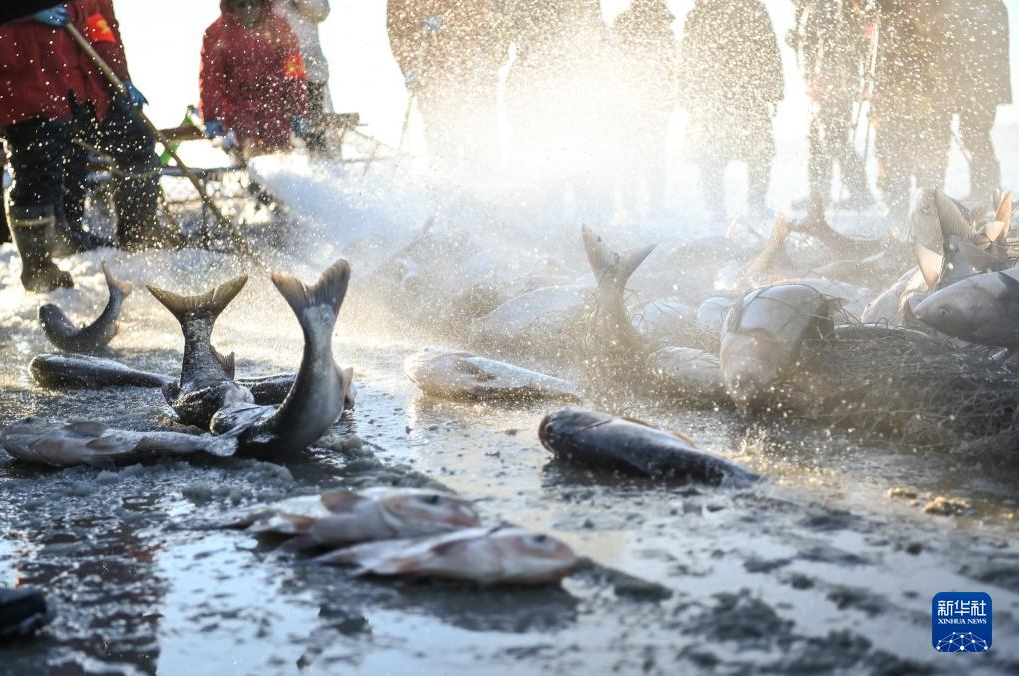 图片.png 图片.png