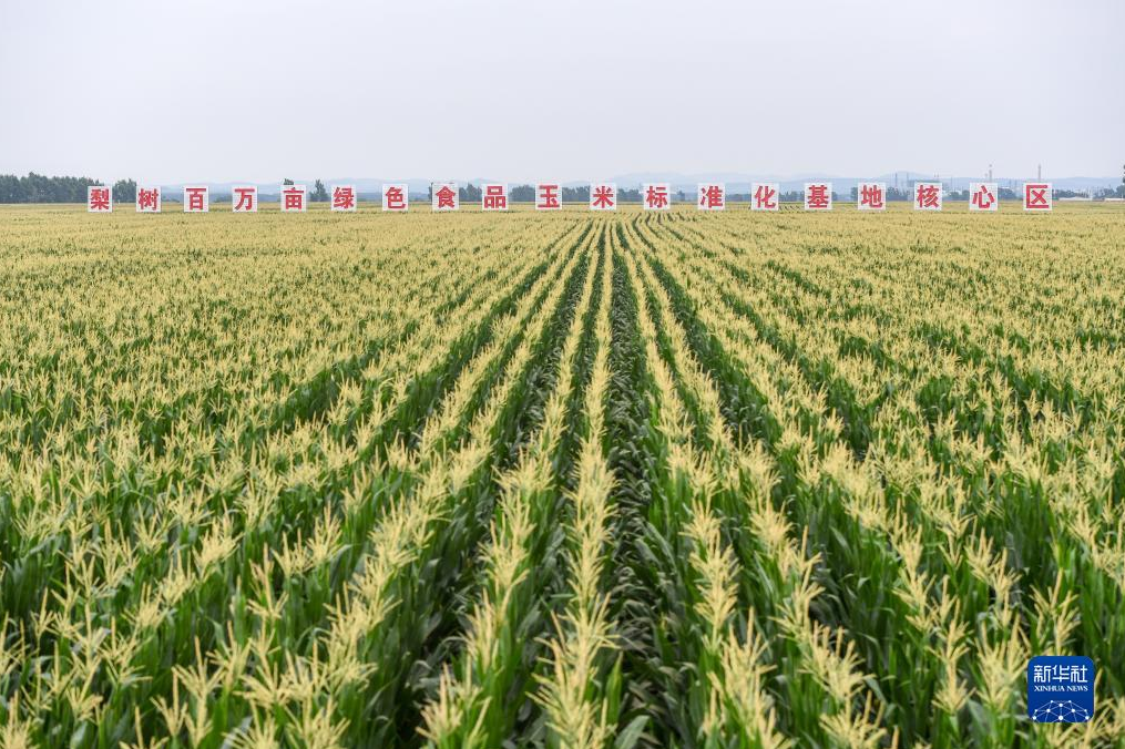 图片.png 图片.png