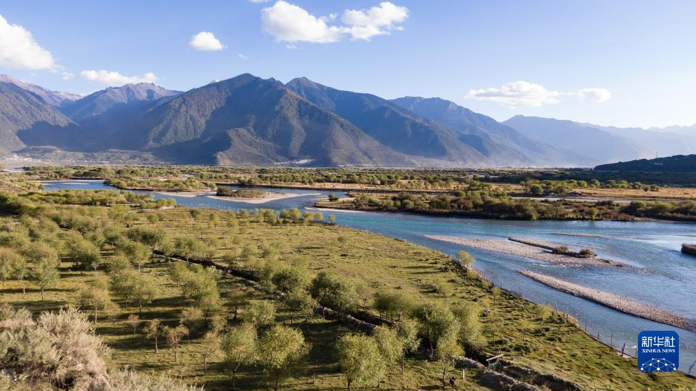 图片.png 图片.png